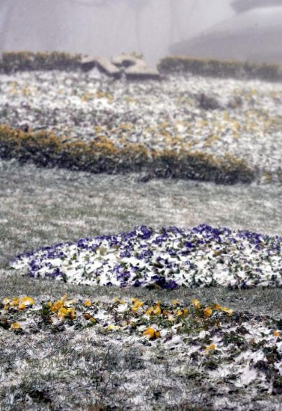 Çamlıca beyaz örtüye büründü! - Resim: 1