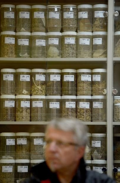 Çölü yemyeşil vahaya çeviren çiftlikler - Resim: 3