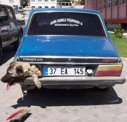 Yurdum insanı gülmekten kopartıyor - Resim: 4