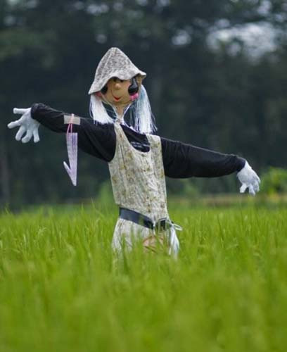 En komik korkuluklar - Resim: 3