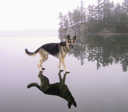 Gülme krizine sokan bomba kareler! - Resim: 4