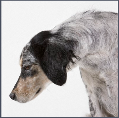 40 adımda cennete gitmenin yolu - Resim: 4