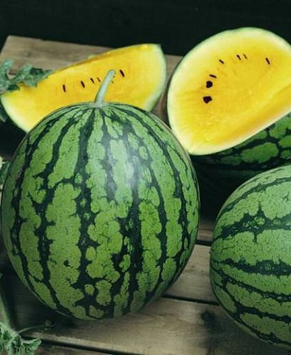 Altın çilek ve ginsengten sonra... Kapış kapış satıyor - Resim: 2