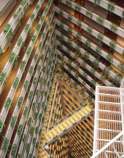 Dünyanın en yüksek binaları içeriden böyle görünüyor - Resim: 4