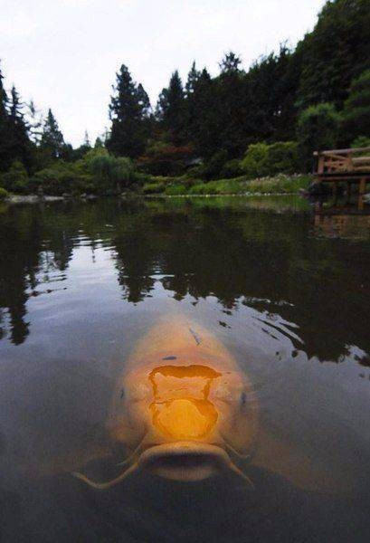 Günün gülümseten fotoğrafları - Resim: 2