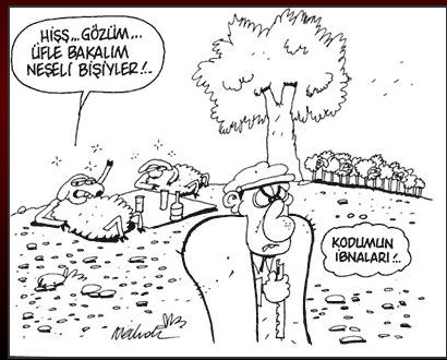 Günün komik karikatürleri - Resim: 4
