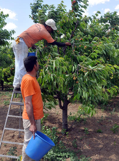 Bu cezaevi para basıyor - Resim: 4