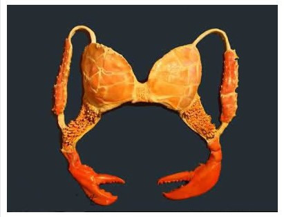 Olmasa da olur dediğimiz iç çamaşırları - Resim: 3