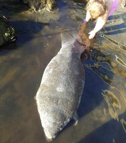 Bu kare sonrası öyle bir sebepten tutuklandı ki... - Resim: 4