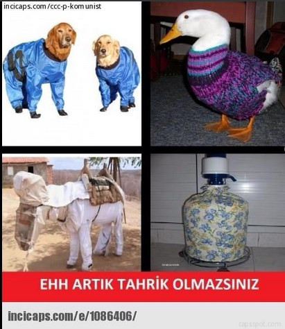 12'den vuran sosyal medya mesajları! - Resim: 1