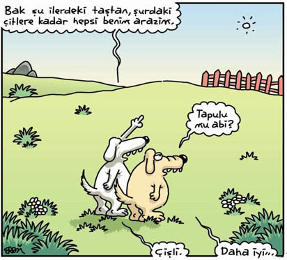 Günün en bomba karikatürleri - Resim: 4