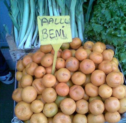 Yurdum insanının pratik zekası! - Resim: 18