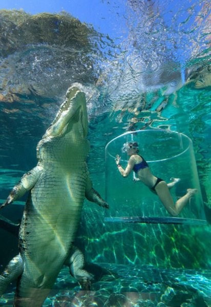 Parçalanarak ölme pahasına timsahla yüzüyorlar akın akın herkes geliyor - Resim: 2