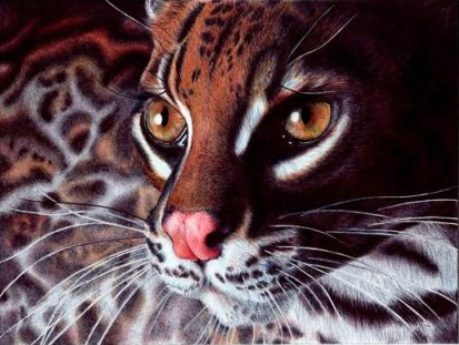 Fotoğraf değil, çizim harikası! - Resim: 3