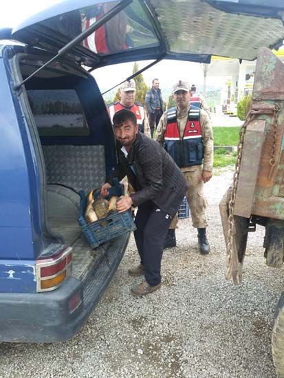 1 ton 200 kilo balık imha edildi! - Resim: 2