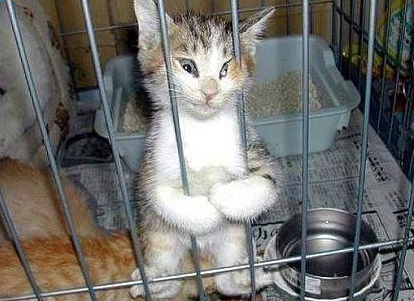 Günün en çok tıklanan ilginç kareleri - Resim: 3