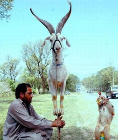 Yalan değil hepsi gerçek - Resim: 3
