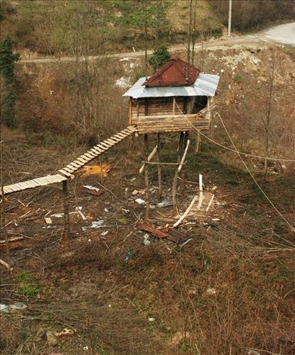 Ağacın üzerine ev yaptı - Resim: 2
