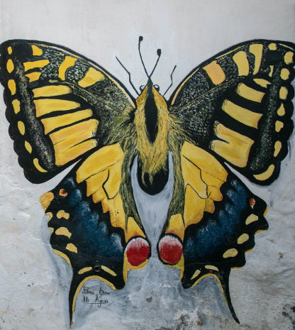 Batman'ın öteki yüzü! Sokakların kaderini de duvarların renklerini de değiştiren kadınlar - Resim: 2