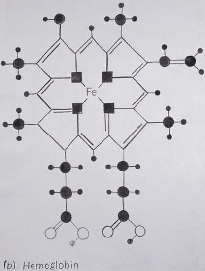 Yeniden dirilişin sırrı - Resim: 3