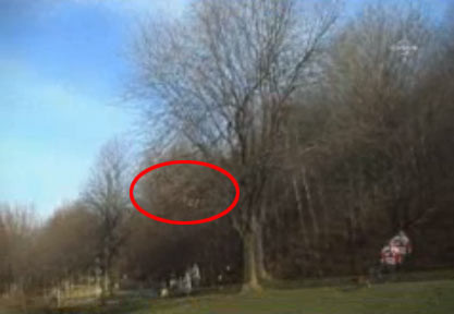 Kartal çocuğu kaçırmaya kalktı - Resim: 2