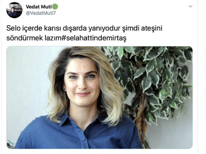 Sakarya'da Başak Demirtaş'a yönelik iğrenç sözler sarf eden şahıs yakalandı - Resim: 2