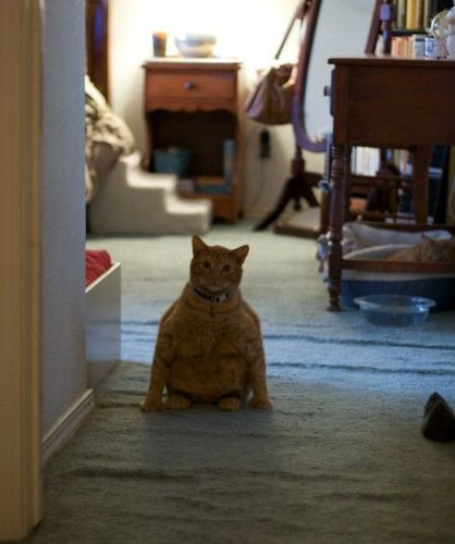 Günün beğenilen 100 karesi - Resim: 3