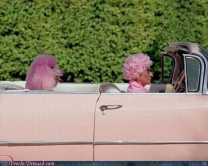 Sınırları zorlayan kareler - Resim: 3