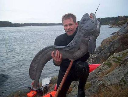 En korkutucu balıklar - Resim: 4