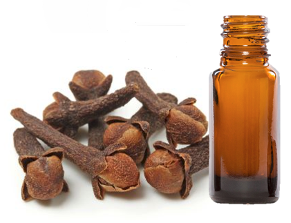 Antibiyotik gibi bal! Bademcik iltihabını anında geçiriyor! - Resim: 1