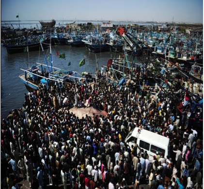 12 metrelik balık hayrete düşürdü - Resim: 2