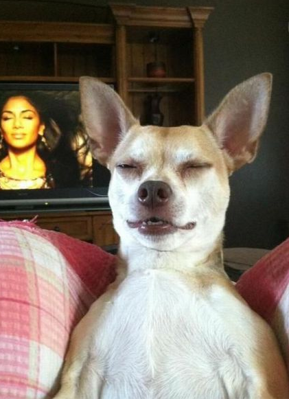 Bu fotoğraflar diğerlerinden çok farklı - Resim: 3