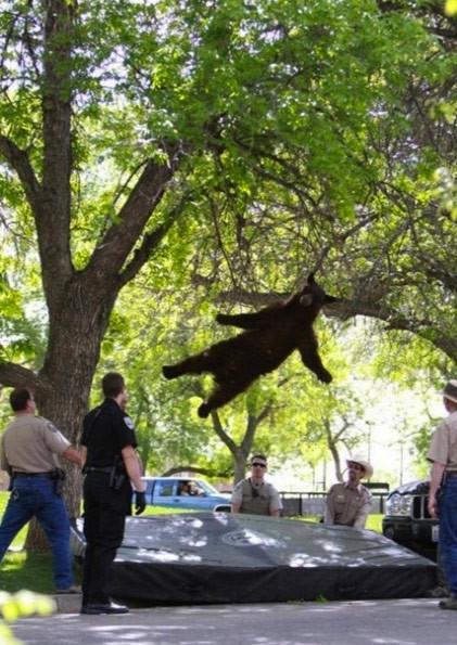 2012'nin gülümseten kareleri - Resim: 4
