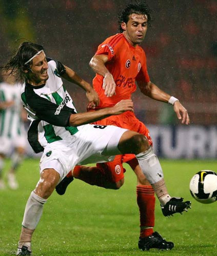 Aslan Kocaeli'nde kükredi - Resim: 2