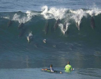 Haftanın tıklanma rekoru kıran komikleri - Resim: 3