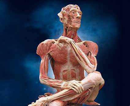 Bunlar gerçek kadavra - Resim: 4