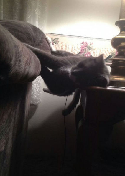 Haftanın son gününe muhteşem fotoğraflar - Resim: 3