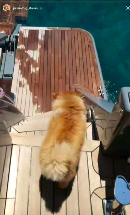 Çocuklar Duymasın'ın Meltem'i Pınar Altuğ  şoke etti 'Yine terk edildim' - Resim: 3