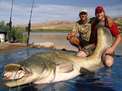 Görenler şaşkına döndü - Resim: 1