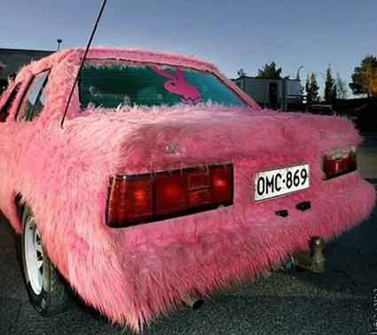 En küçük, en ilginç, en komik... - Resim: 4