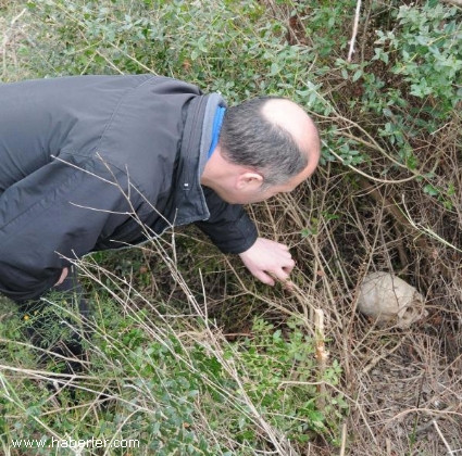 Şehit kemikleri toprak üstüne çıktı! - Resim: 1
