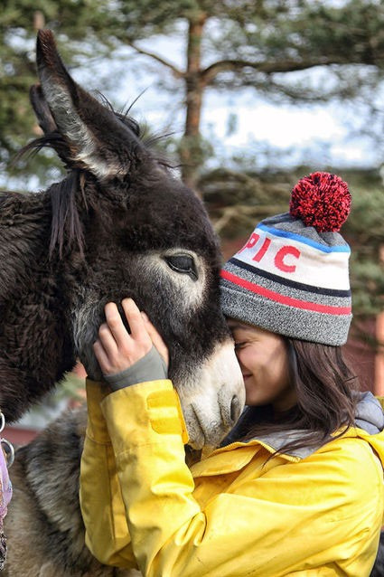 Özge Özpirinçci 2 kediden sonra eşek sahiplendi - Resim: 1