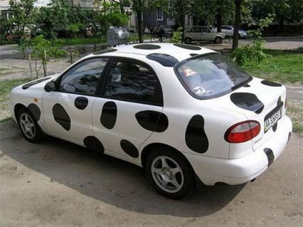 Günün en komik fotoğrafları - Resim: 3