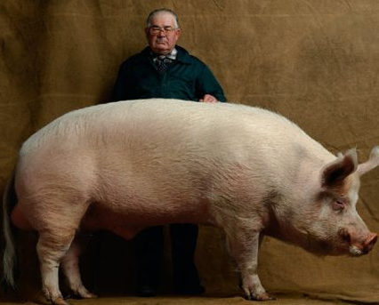 Dünya'nın en ilginç bilgileri - Resim: 3