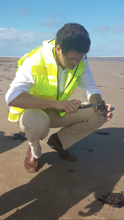 Brezilya kıyılarında 100 tondan fazla petrol sızıntısı tespit edildi: Sebebi bilinmiyor - Resim: 0