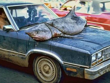 Onlar bu komedinin farkında değil! - Resim: 2