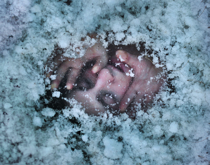 Bu fotoğraflar kendine hayran bırakıyor... - Resim: 4