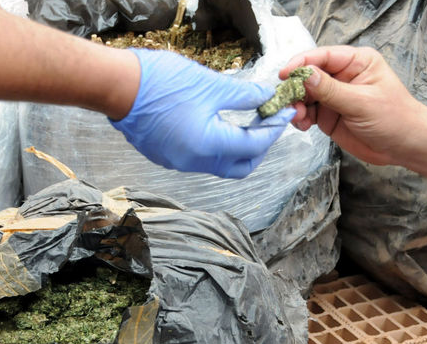 Uyanıklar polise yutturmaya çalıştı ama... - Resim: 4