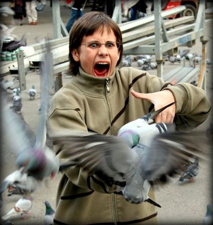 Domuzlar bir anda kadının üzerine saldırdı sonrası ise fena - Resim: 4