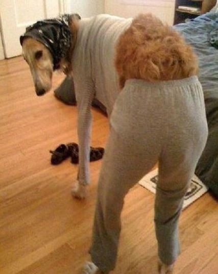 Bu anı görenler gözlerine inanamadı bir anda geldi ve... - Resim: 3